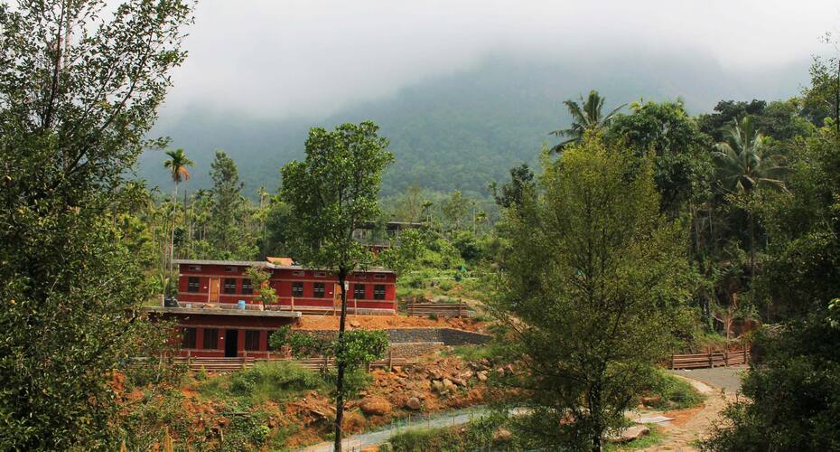 White Water Woods, Wayanad 1